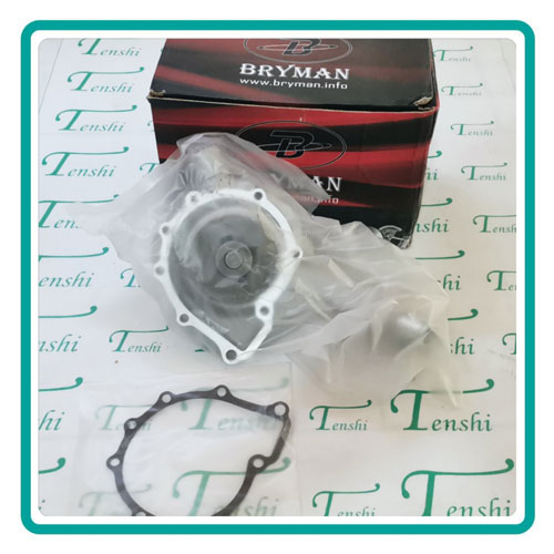 
                                      واتر پمپ سانگ یانگ نیو اکتیون BRYMAN                                      