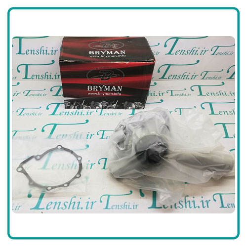 
                                      واتر پمپ سانگ یانگ اکتیون BRYMAN                                      