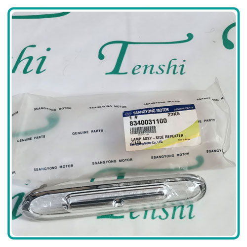 
                          راهنما گلگیر راست سانگ یانگ اکتیون اصلی                        